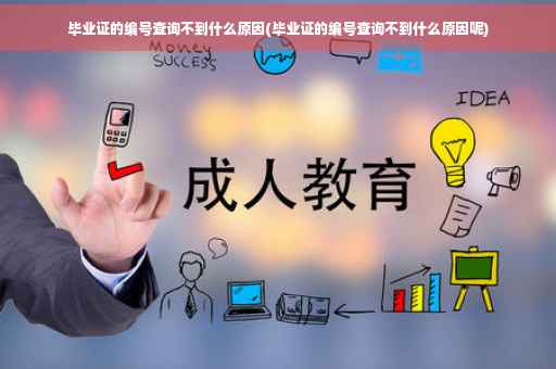 毕业证的编号查询不到什么原因(毕业证的编号查询不到什么原因呢)