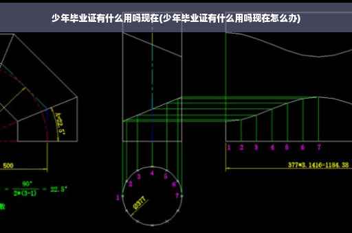 少年毕业证有什么用吗现在(少年毕业证有什么用吗现在怎么办)