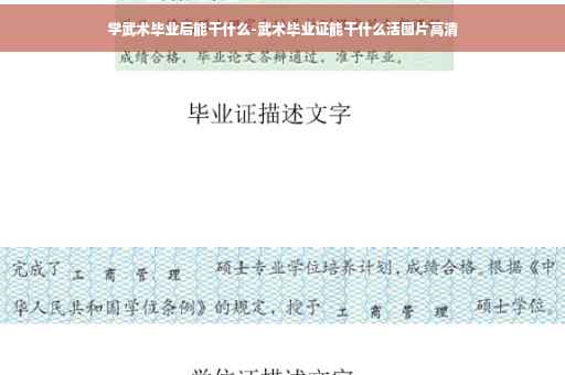 学武术毕业后能干什么-武术毕业证能干什么活图片高清