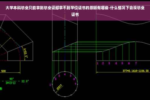 大学本科毕业只能拿到毕业证却拿不到学位证书的原因有哪些-什么情况下会没毕业证书