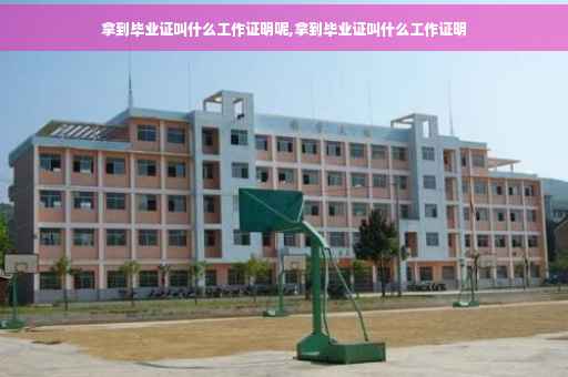 拿到毕业证叫什么工作证明呢,拿到毕业证叫什么工作证明