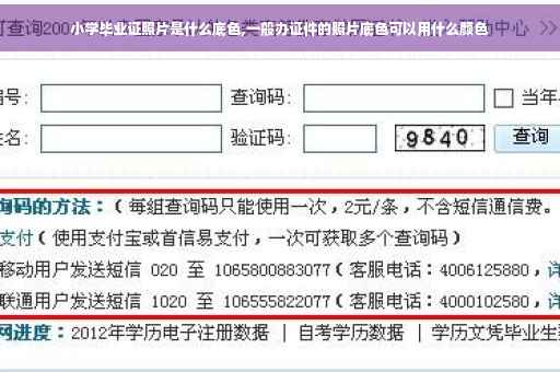 小学毕业证照片是什么底色,一般办证件的照片底色可以用什么颜色