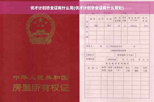 优才计划毕业证有什么用(优才计划毕业证有什么用处)
