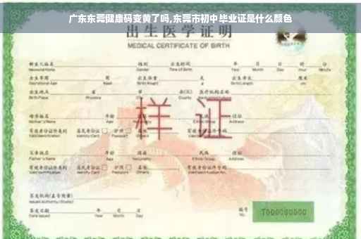 广东东莞健康码变黄了吗,东莞市初中毕业证是什么颜色