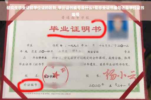 研究生毕业证和学位证的区别,学历证书编号是什么?是毕业证书编号还是学位证书编号