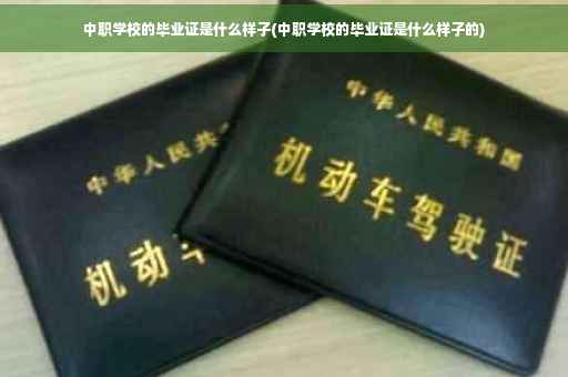 中职学校的毕业证是什么样子(中职学校的毕业证是什么样子的)