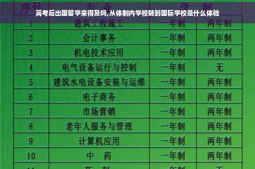 高考后出国留学来得及吗,从体制内学校转到国际学校是什么体验