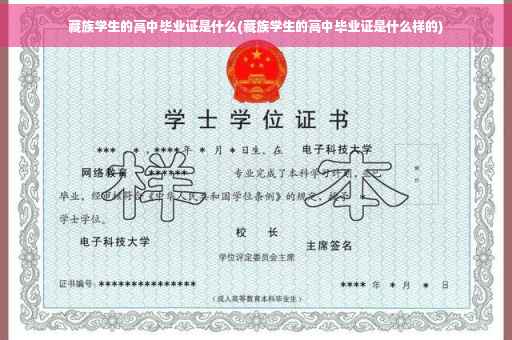 藏族学生的高中毕业证是什么(藏族学生的高中毕业证是什么样的)