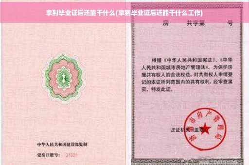 拿到毕业证后还能干什么(拿到毕业证后还能干什么工作)