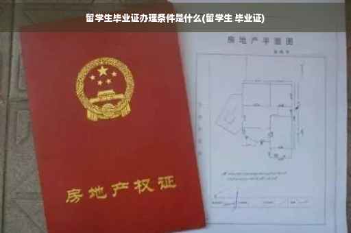 留学生毕业证办理条件是什么(留学生 毕业证)