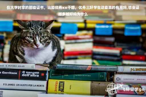 在大学时拿的那些证书，比如优秀xx干部，优秀三好学生这些真的有用吗,毕业证越多越好吗为什么