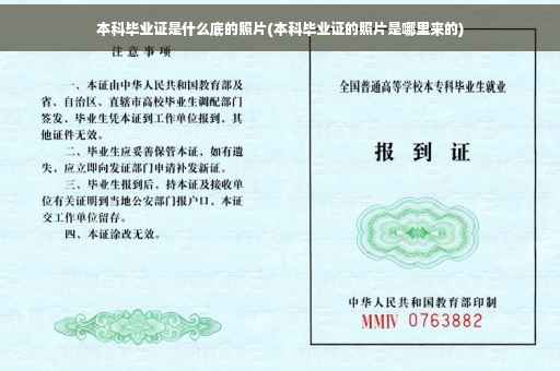 本科毕业证是什么底的照片(本科毕业证的照片是哪里来的)