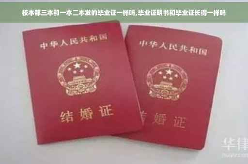 校本部三本和一本二本发的毕业证一样吗,毕业证明书和毕业证长得一样吗