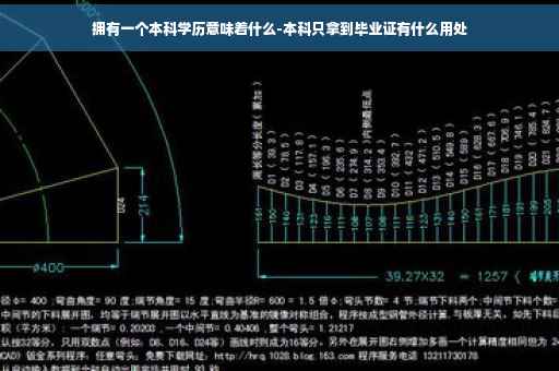 拥有一个本科学历意味着什么-本科只拿到毕业证有什么用处