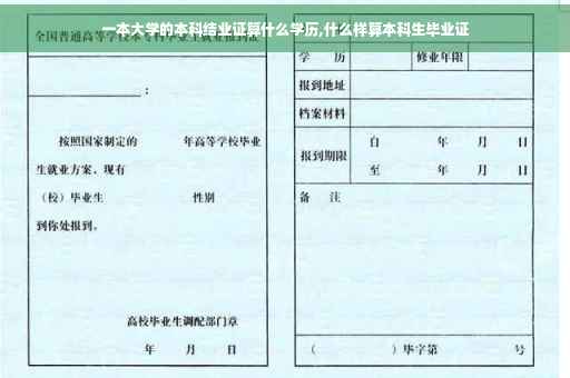 一本大学的本科结业证算什么学历,什么样算本科生毕业证
