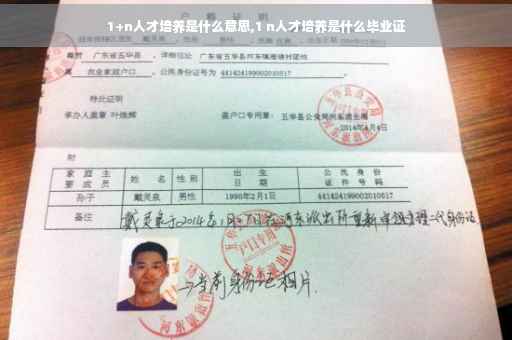 1+n人才培养是什么意思,1 n人才培养是什么毕业证