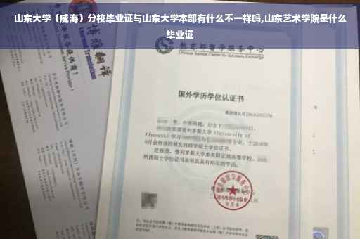 山东大学（威海）分校毕业证与山东大学本部有什么不一样吗,山东艺术学院是什么毕业证