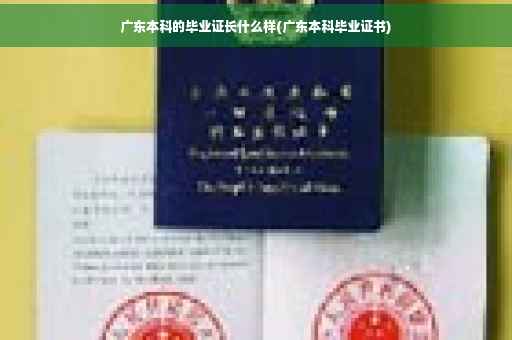 广东本科的毕业证长什么样(广东本科毕业证书)