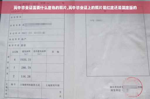 高中毕业证需要什么底色的照片,高中毕业证上的照片是红底还是蓝底版的