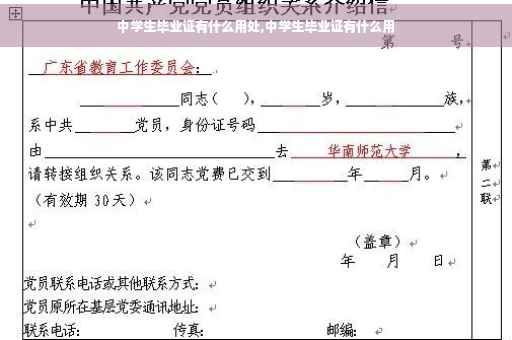 中学生毕业证有什么用处,中学生毕业证有什么用