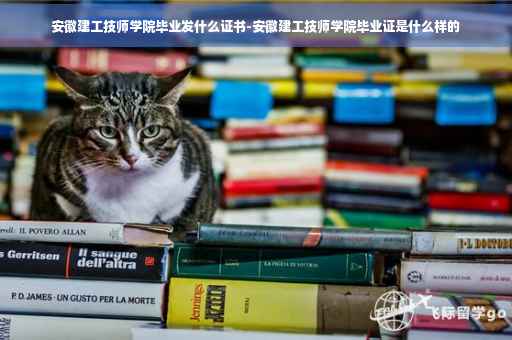安徽建工技师学院毕业发什么证书-安徽建工技师学院毕业证是什么样的