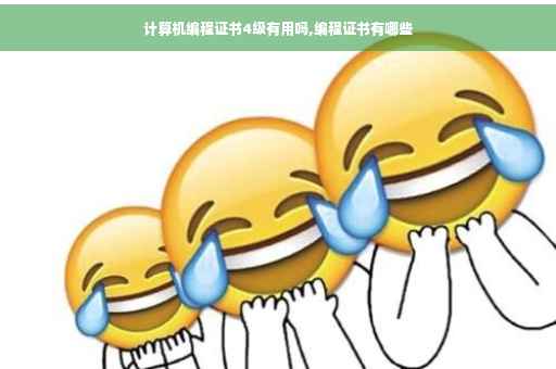 计算机编程证书4级有用吗,编程证书有哪些