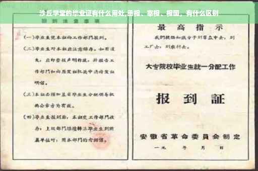 沙丘学堂的毕业证有什么用处,丞相、宰相、相国，有什么区别