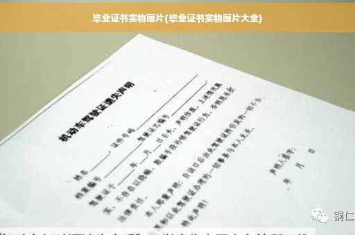 毕业证书实物图片(毕业证书实物图片大全)