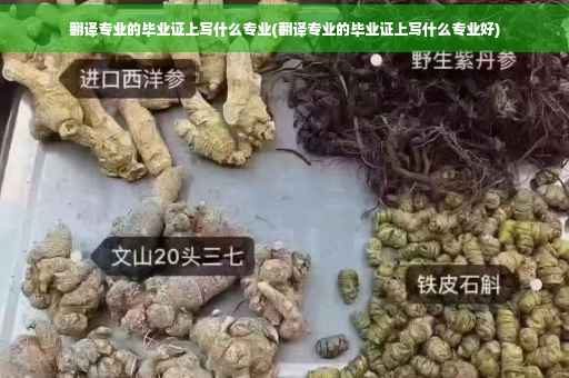 翻译专业的毕业证上写什么专业(翻译专业的毕业证上写什么专业好)