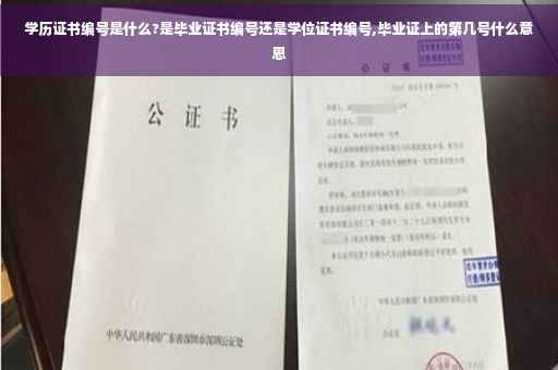 学历证书编号是什么?是毕业证书编号还是学位证书编号,毕业证上的第几号什么意思