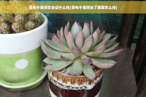 西电中英班毕业证什么样(西电中英班去了英国怎么样)