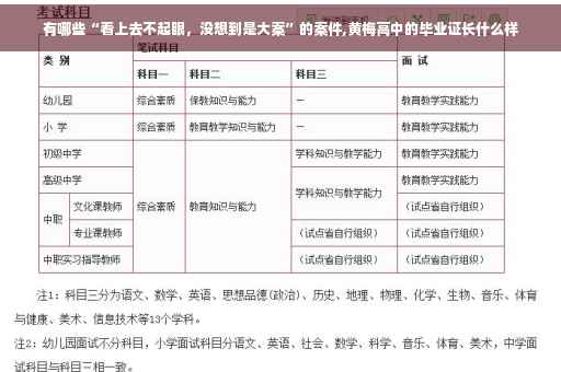 有哪些“看上去不起眼，没想到是大案”的案件,黄梅高中的毕业证长什么样