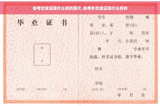 自考毕业证是什么样的图片,自考本毕业证是什么样的