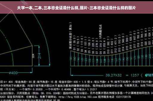 大学一本,二本,三本毕业证是什么样,图片-三本毕业证是什么样的图片