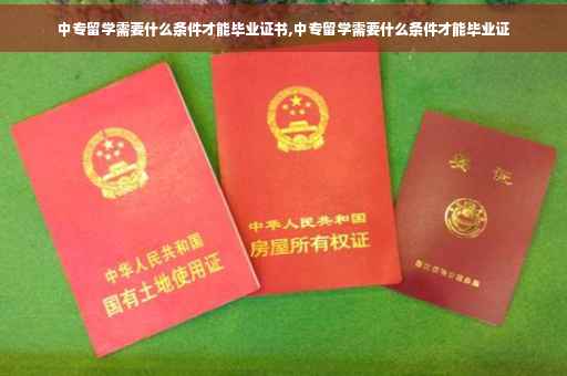 中专留学需要什么条件才能毕业证书,中专留学需要什么条件才能毕业证