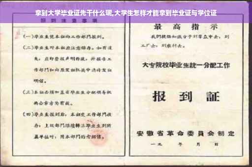 拿到大学毕业证先干什么呢,大学生怎样才能拿到毕业证与学位证