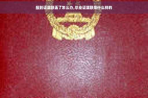 报到证蓝联丢了怎么办,毕业证蓝联是什么样的