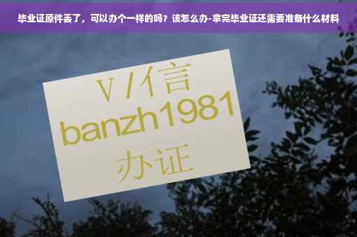 毕业证原件丢了，可以办个一样的吗？该怎么办-拿完毕业证还需要准备什么材料