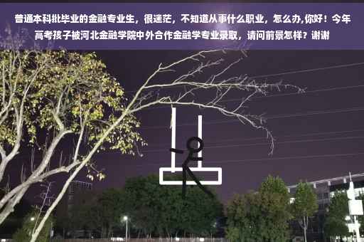 普通本科批毕业的金融专业生，很迷茫，不知道从事什么职业，怎么办,你好！今年高考孩子被河北金融学院中外合作金融学专业录取，请问前景怎样？谢谢