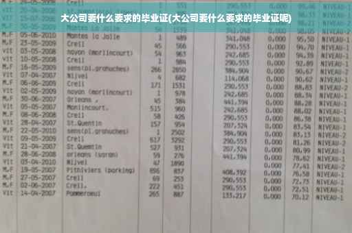 大公司要什么要求的毕业证(大公司要什么要求的毕业证呢)