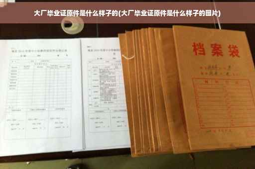 大厂毕业证原件是什么样子的(大厂毕业证原件是什么样子的图片)