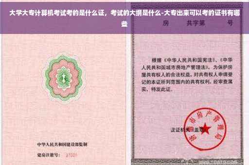 大学大专计算机考试考的是什么证，考试的大纲是什么-大专出来可以考的证书有哪些