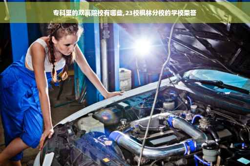 专科里的双高院校有哪些,23校枫林分校的学校荣誉