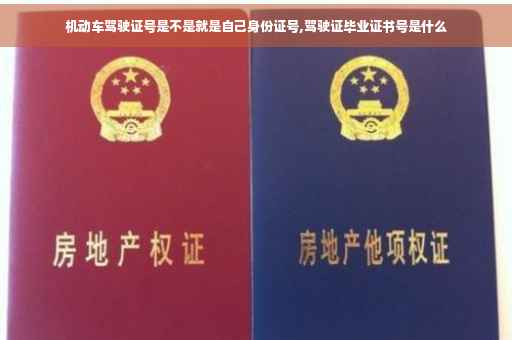 机动车驾驶证号是不是就是自己身份证号,驾驶证毕业证书号是什么