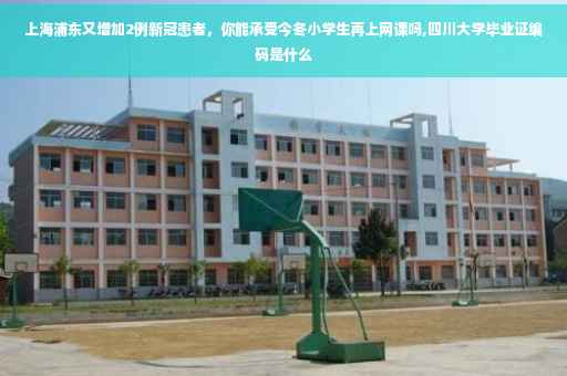 上海浦东又增加2例新冠患者，你能承受今冬小学生再上网课吗,四川大学毕业证编码是什么