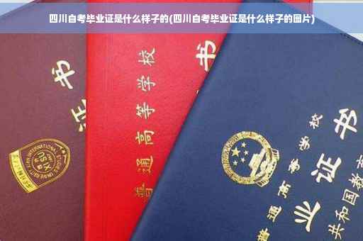 四川自考毕业证是什么样子的(四川自考毕业证是什么样子的图片)