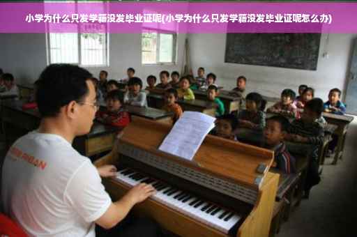 小学为什么只发学籍没发毕业证呢(小学为什么只发学籍没发毕业证呢怎么办) 小学为什么只发学籍没发毕业证呢(小学为什么只发学籍没发毕业证呢怎么办)