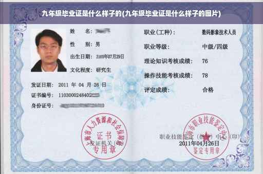 九年级毕业证是什么样子的(九年级毕业证是什么样子的图片)