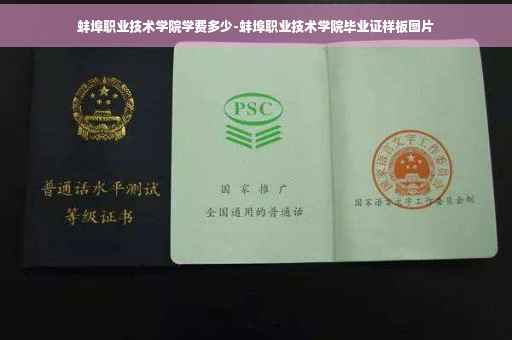 蚌埠职业技术学院学费多少-蚌埠职业技术学院毕业证样板图片
