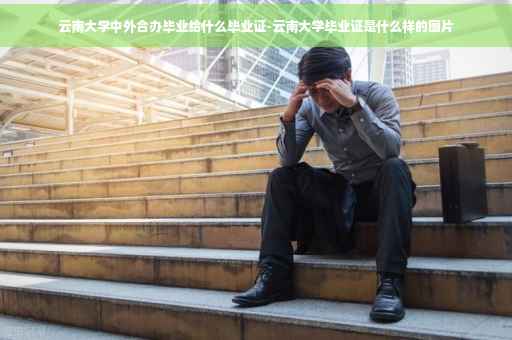 云南大学中外合办毕业给什么毕业证-云南大学毕业证是什么样的图片